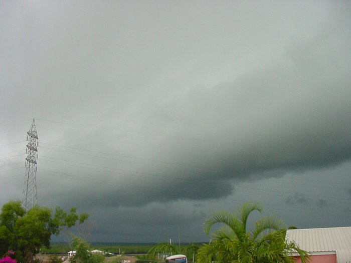 Taken by Jason Rainforest