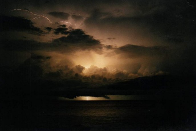 Taken by Jason Rainforest