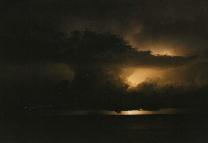 Taken by Jason Rainforest