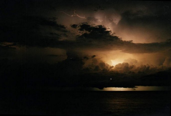 Taken by Jason Rainforest