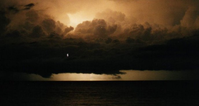 Taken by Jason Rainforest