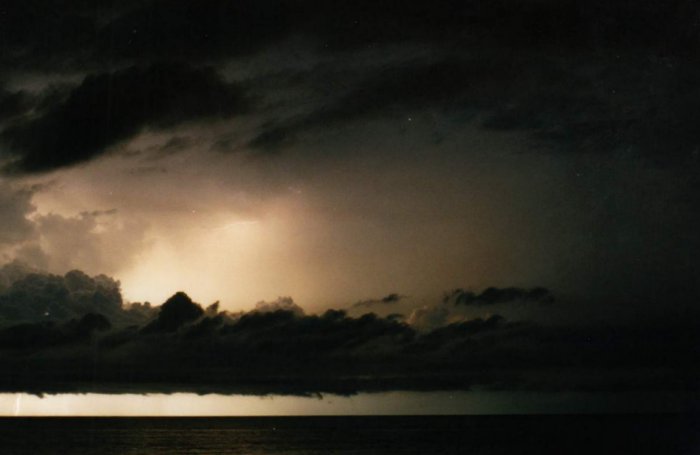 Taken by Jason Rainforest