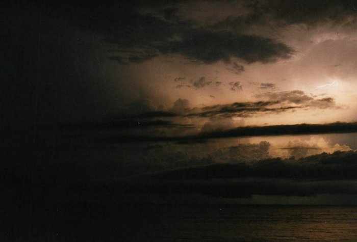 Taken by Jason Rainforest