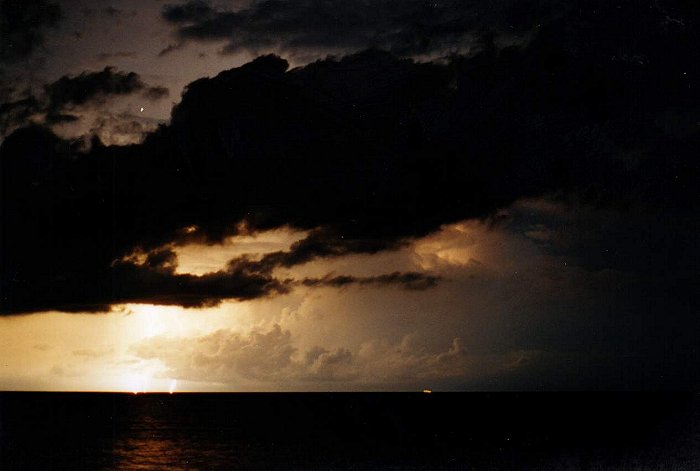 Taken by Jason Rainforest