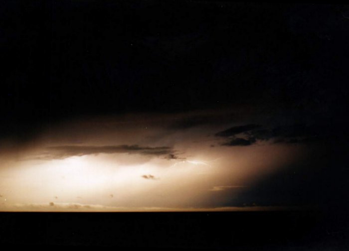 Taken by Jason Rainforest