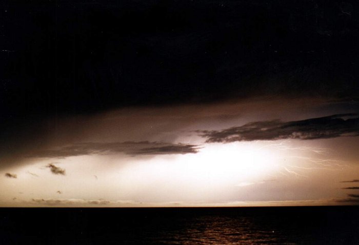 Taken by Jason Rainforest