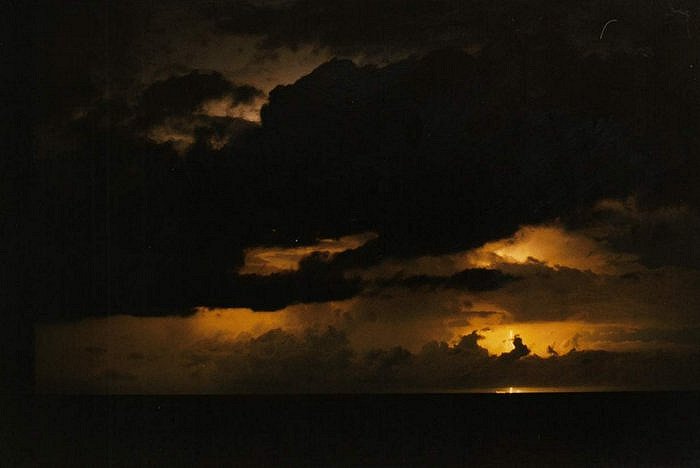 Taken by Jason Rainforest