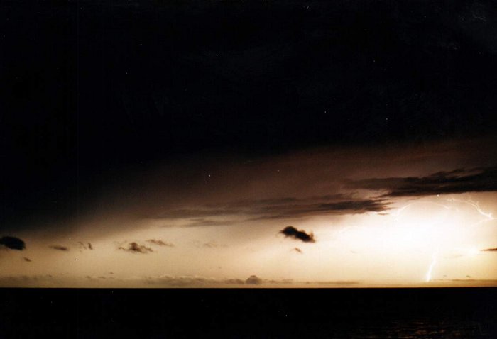 Taken by Jason Rainforest