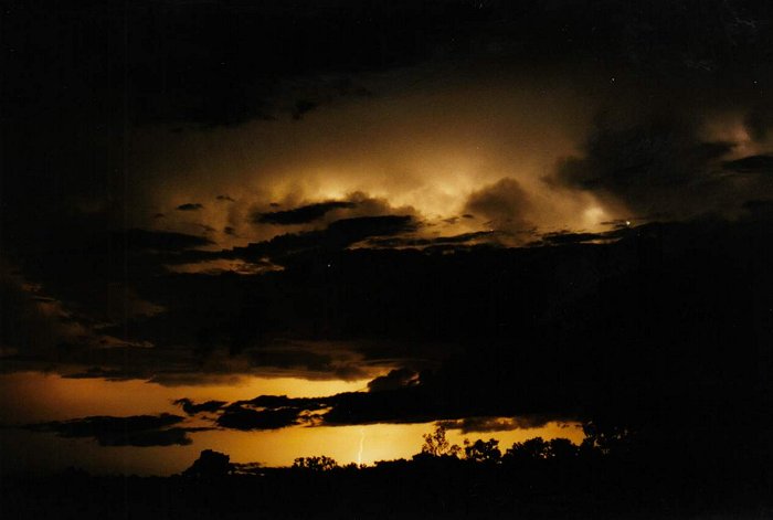 Taken by Jason Rainforest