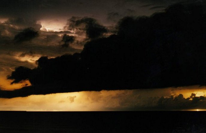 Taken by Jason Rainforest