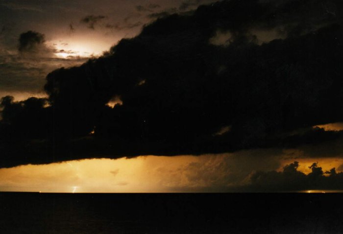 Taken by Jason Rainforest