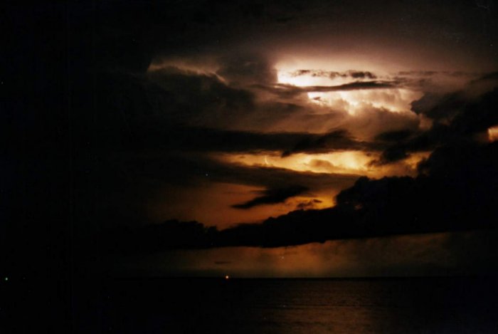 Taken by Jason Rainforest