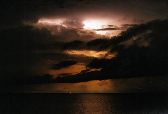 Taken by Jason Rainforest