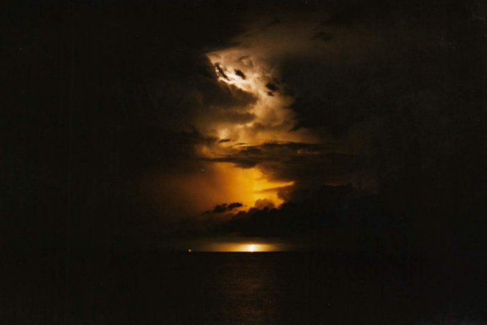 Taken by Jason Rainforest