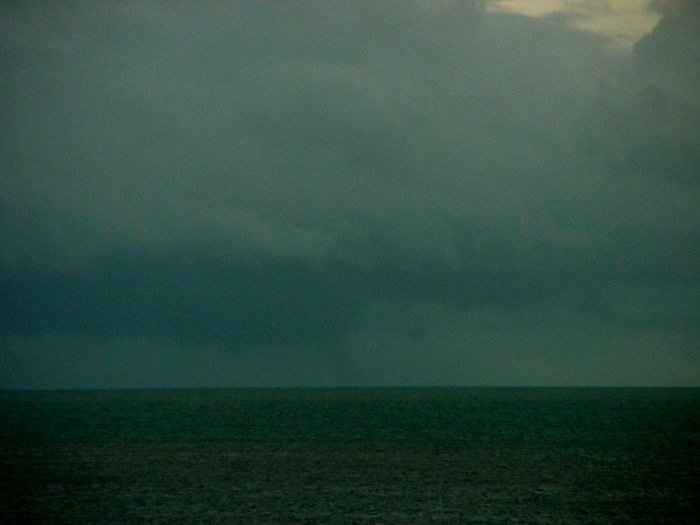 Taken by Jason Rainforest