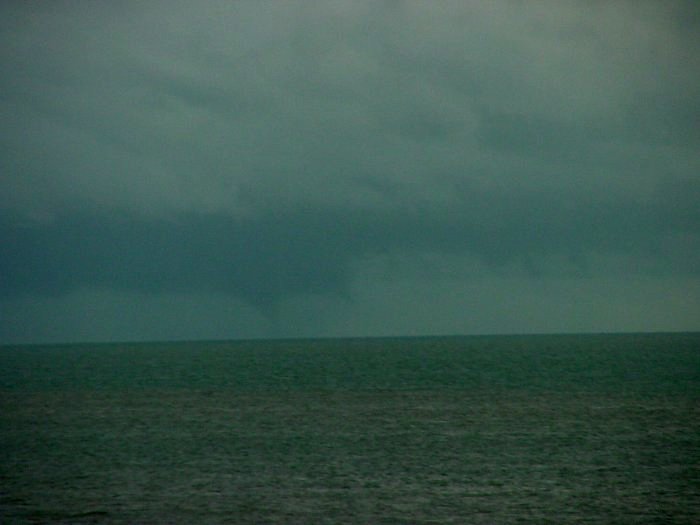 Taken by Jason Rainforest