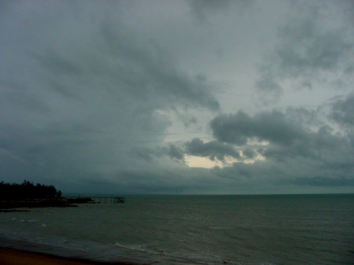 Taken by Jason Rainforest