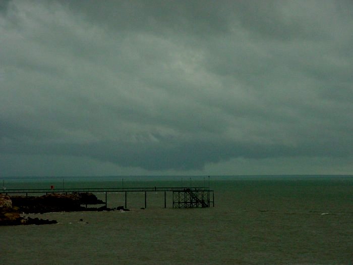 Taken by Jason Rainforest