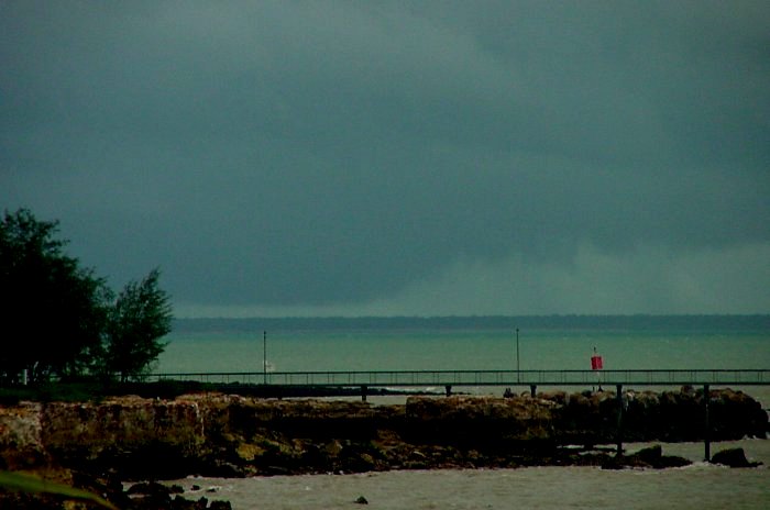 Taken by Jason Rainforest