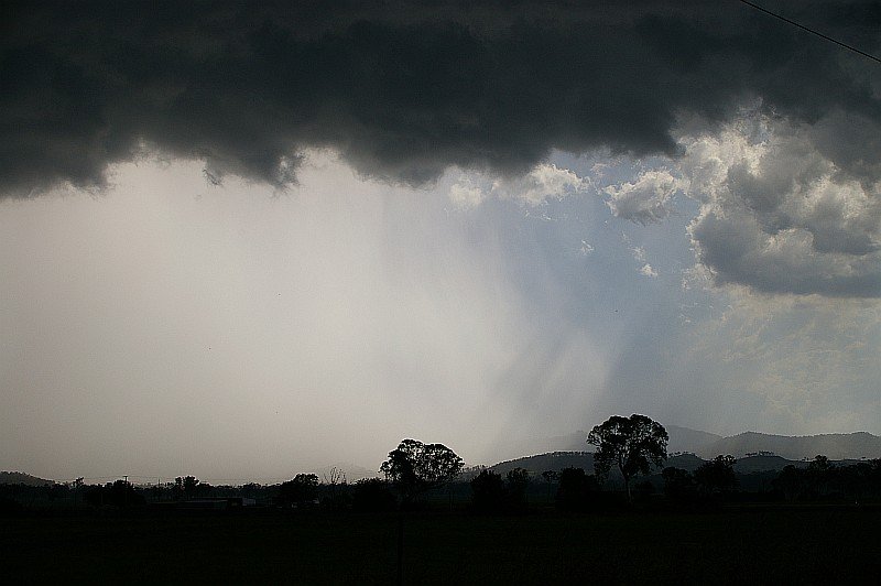 Photo  Margaret Grubb