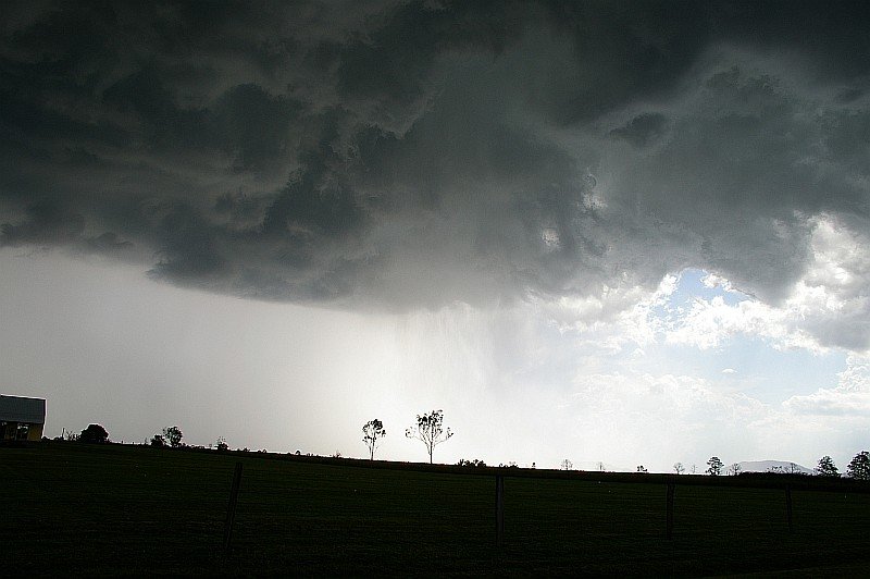 Photo  Margaret Grubb