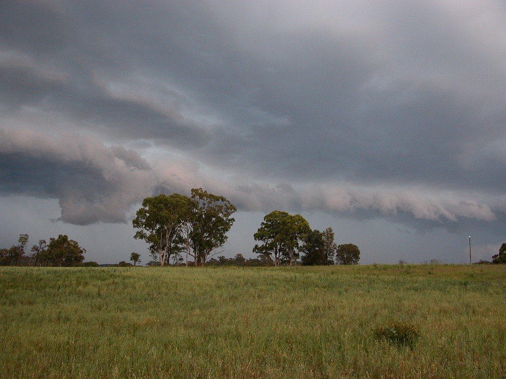 Photo  Margaret Grubb