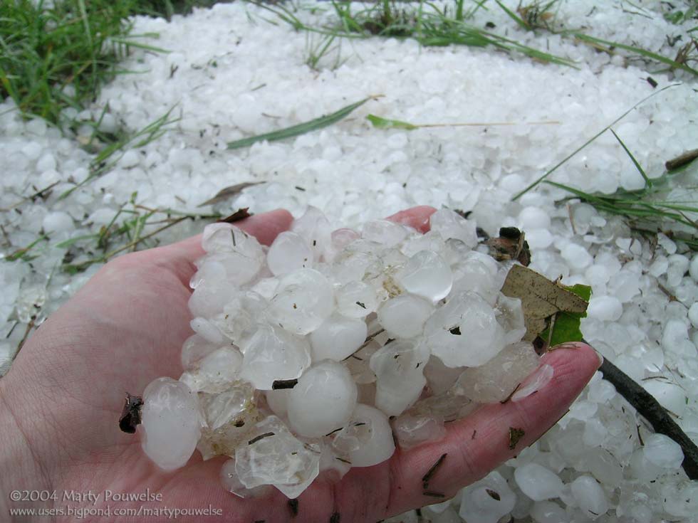 Photo  Marty Pouwelse