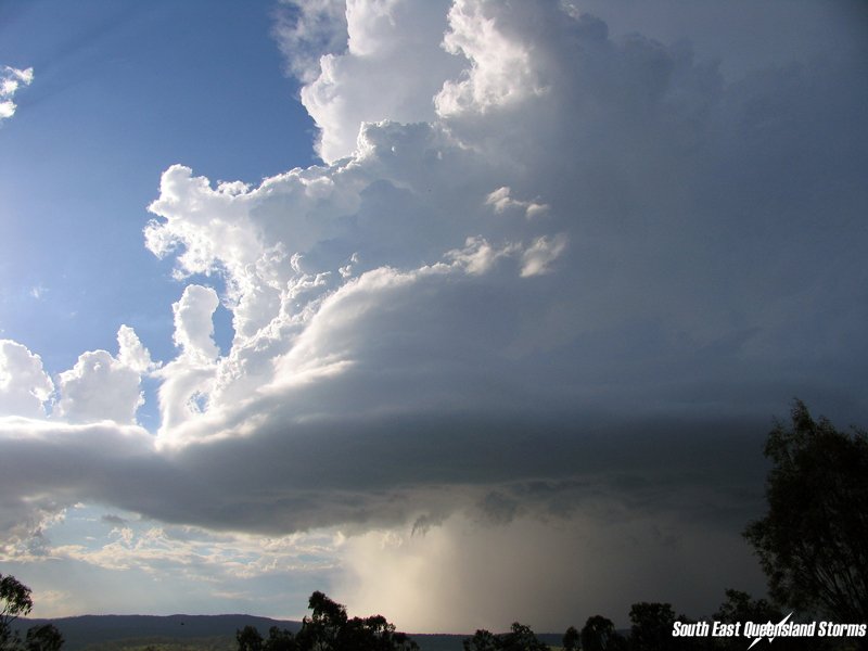 Photo  Michael Manning