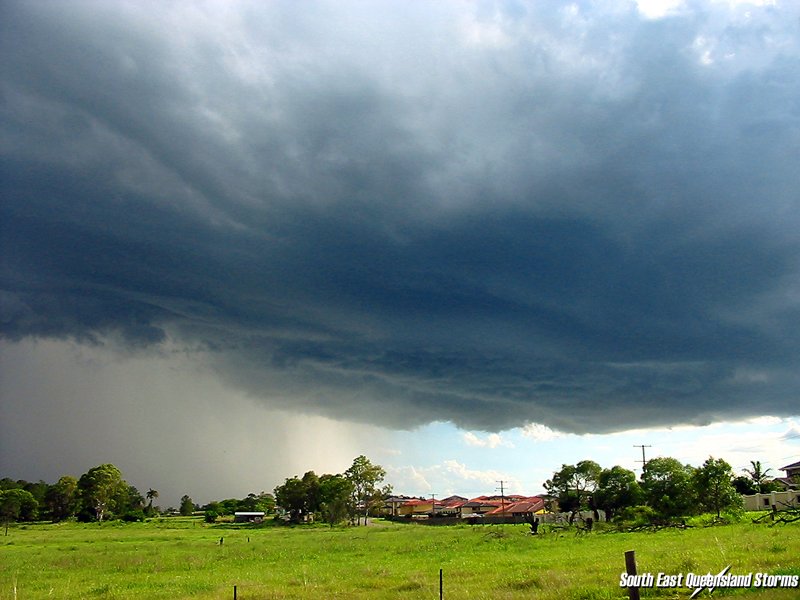 Photo  Michael Manning