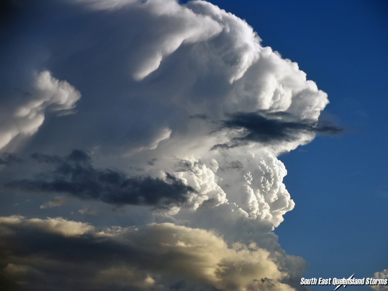 Photo  Michael Manning