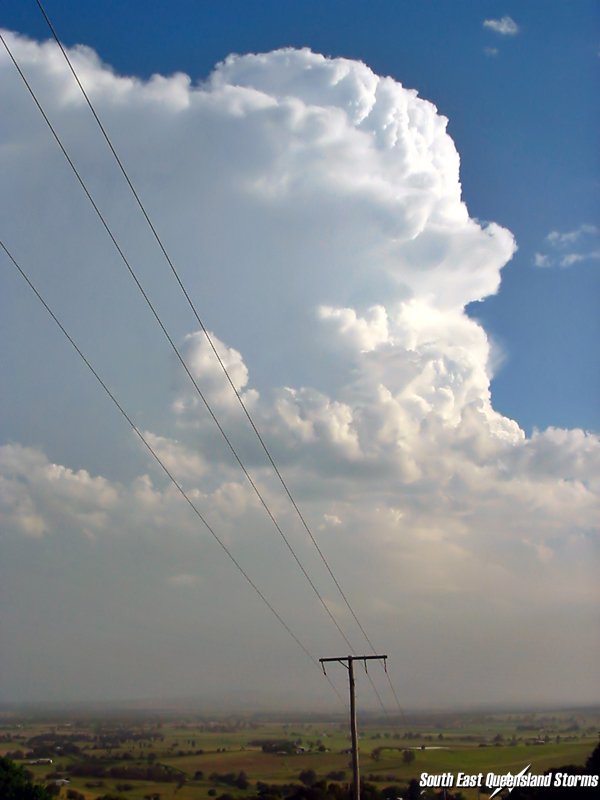 Photo  Michael Manning