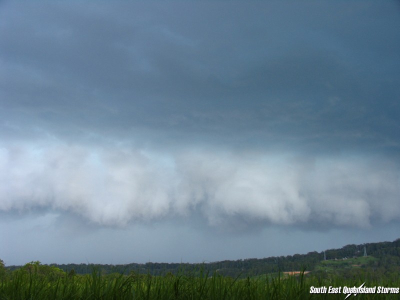 Photo  Michael Manning