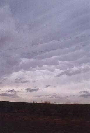 Taken by Narelle Bowmaker