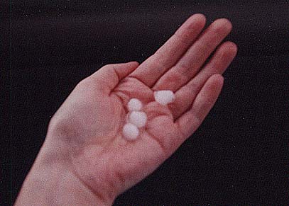 Taken by Narelle Bowmaker