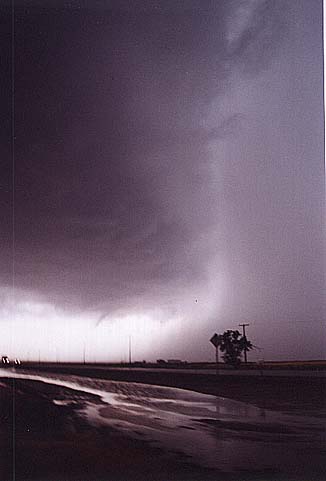 Taken by Narelle Bowmaker