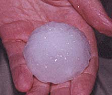 Taken by Narelle Bowmaker