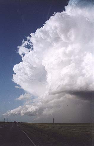 Taken by Narelle Bowmaker