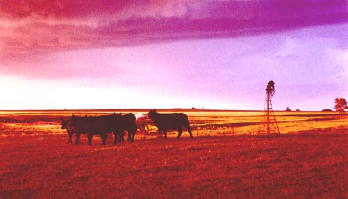 Taken by Narelle Bowmaker