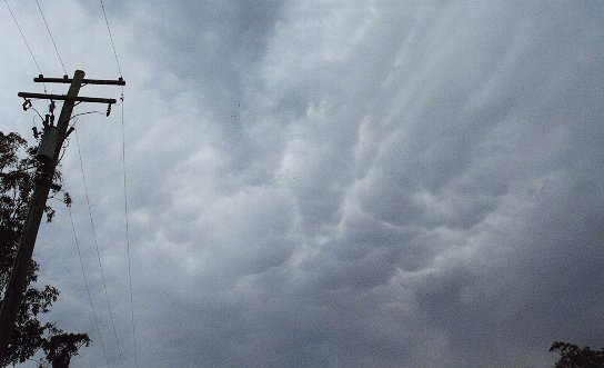 Taken by Narelle Bowmaker