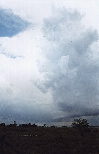 Taken by Narelle Bowmaker