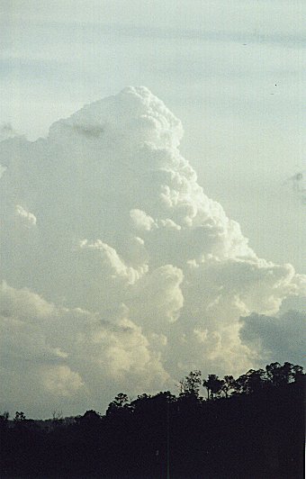 Taken by Narelle Bowmaker