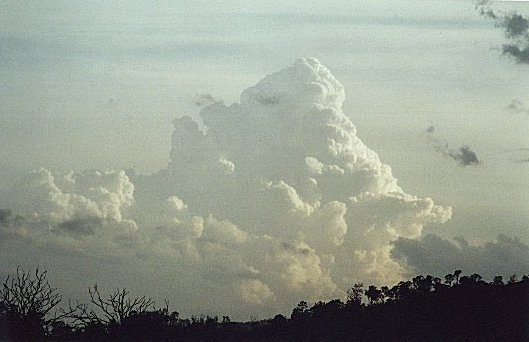 Taken by Narelle Bowmaker