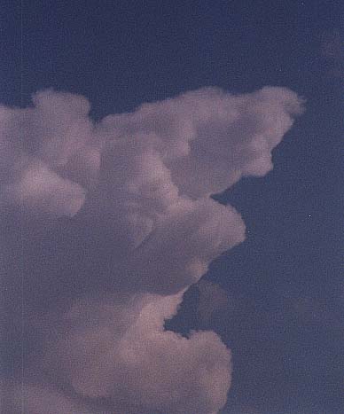 Taken by Narelle Bowmaker