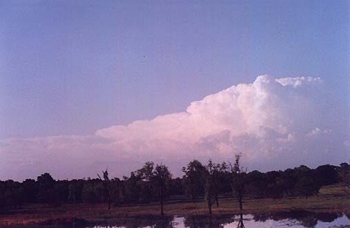 Taken by Narelle Bowmaker