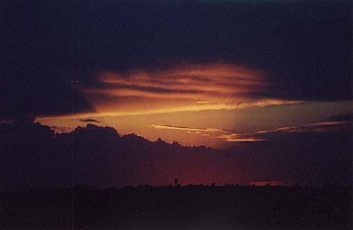 Taken by Narelle Bowmaker