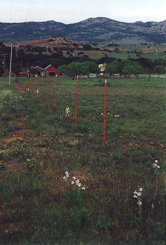 Taken by Narelle Bowmaker