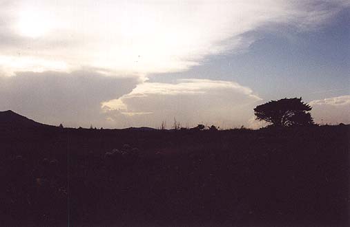 Taken by Narelle Bowmaker