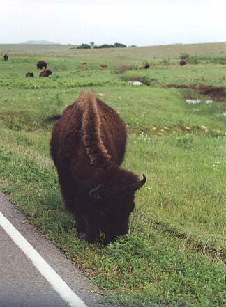 Taken by Narelle Bowmaker