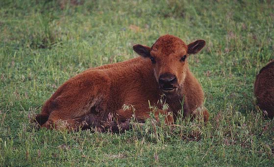 Taken by Narelle Bowmaker