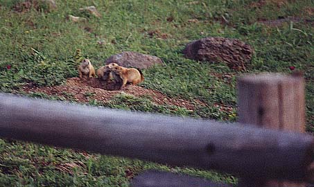 Taken by Narelle Bowmaker